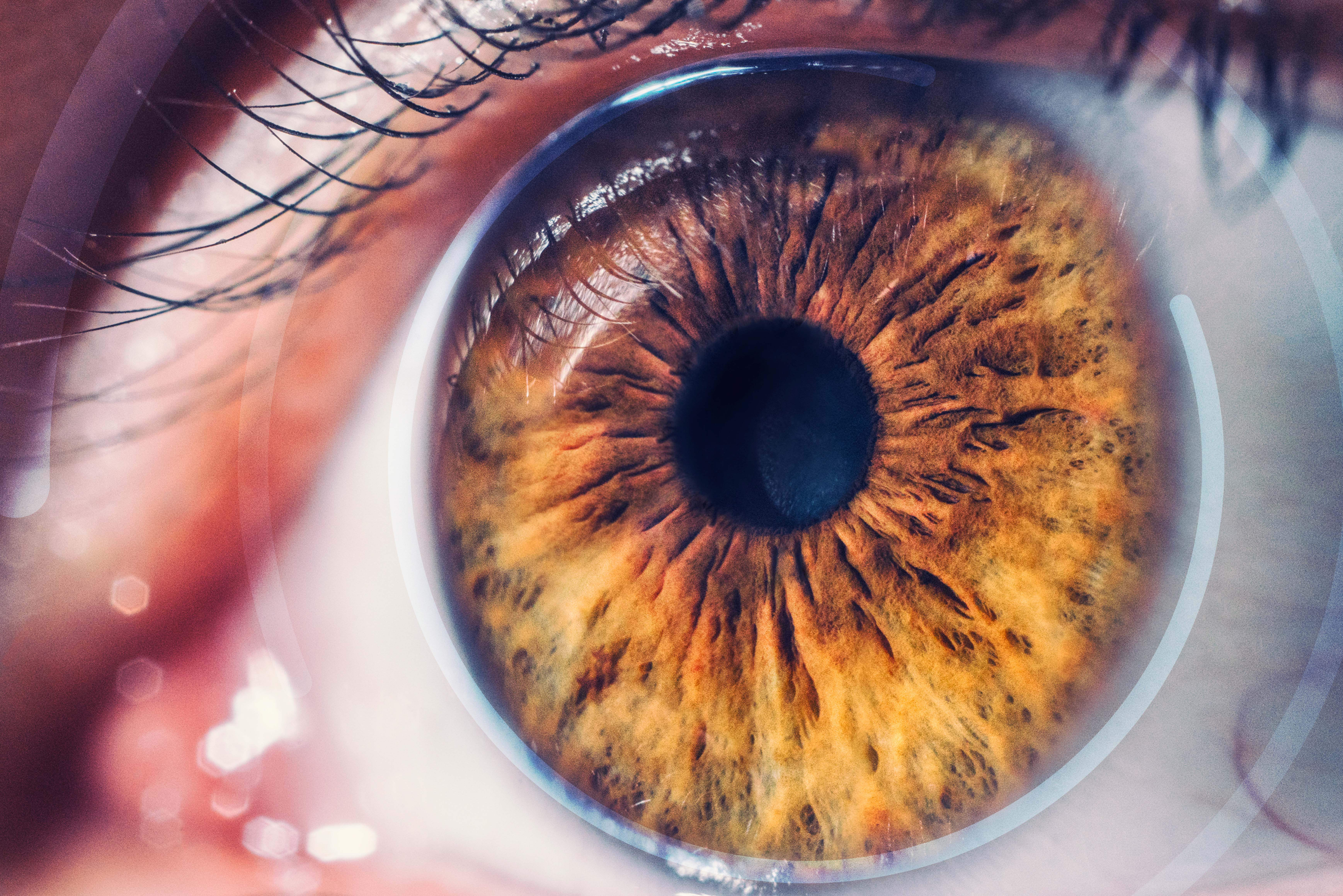 Primer plano del ojo marrón de una persona